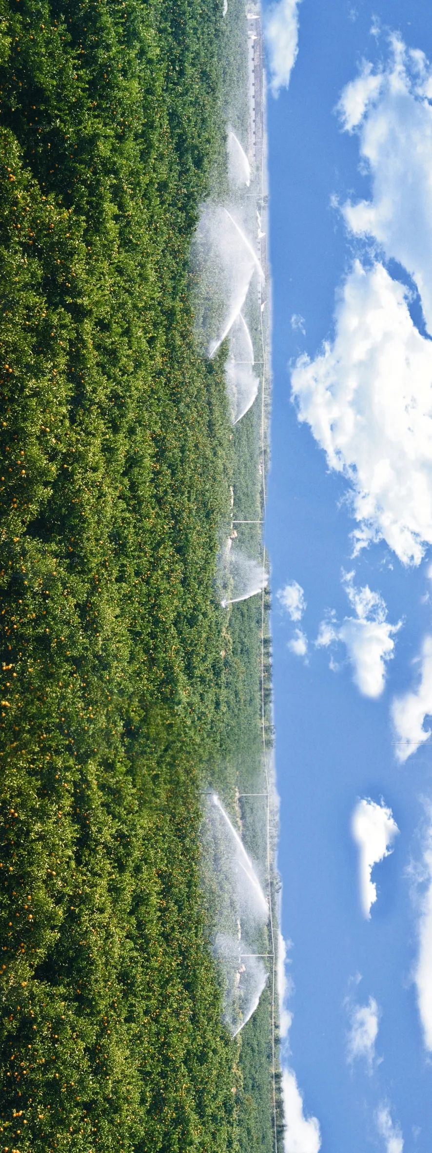 椋庣墿涔嬮兘,椋庣墿鍥涘窛