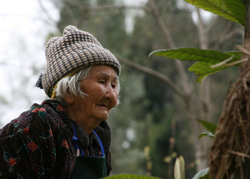 老人得了重病该不该再继续治疗,老了重病该不该放弃治疗