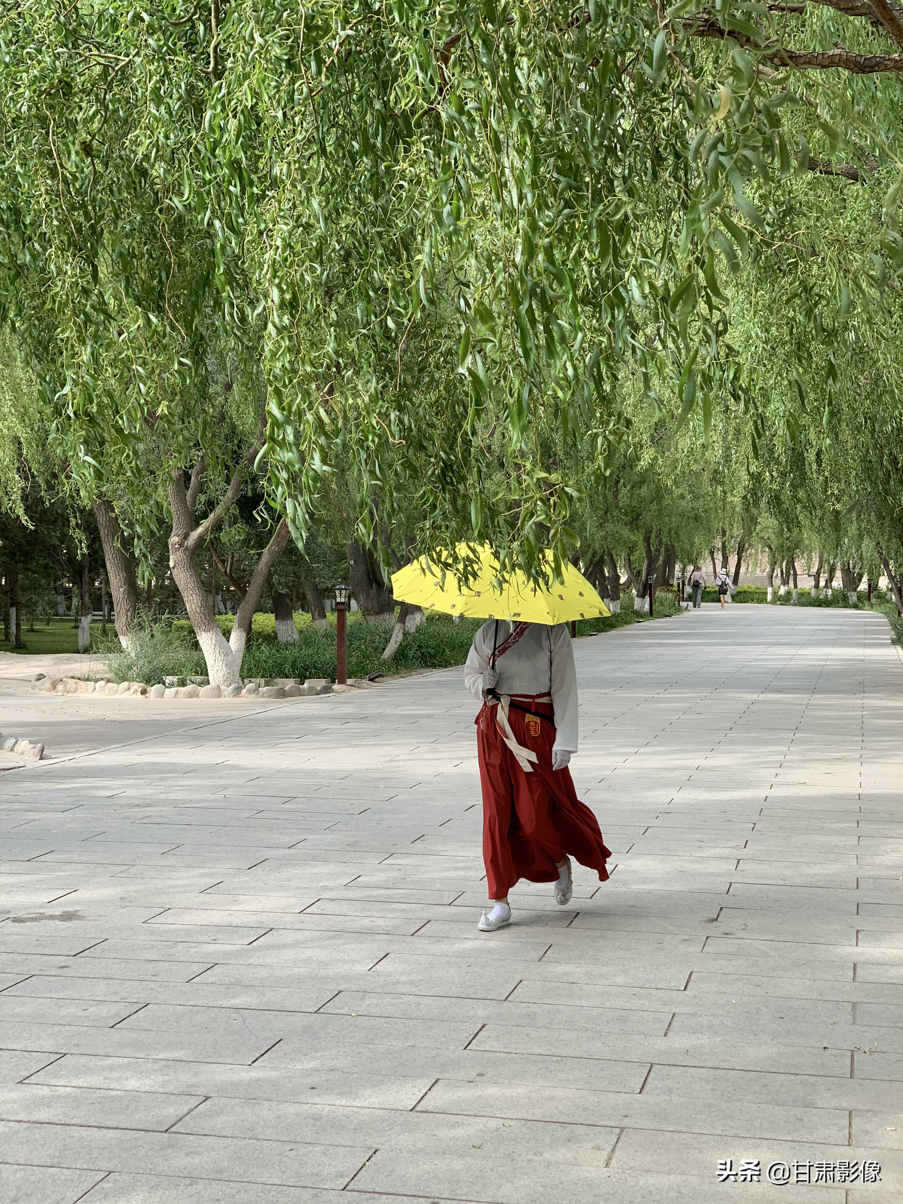 告别2021年的夏天手机摄影,简单手机摄影2020不平凡的一年