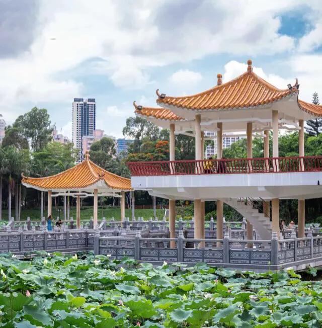 深圳花海公园地址在哪里,深圳中心河公园花海