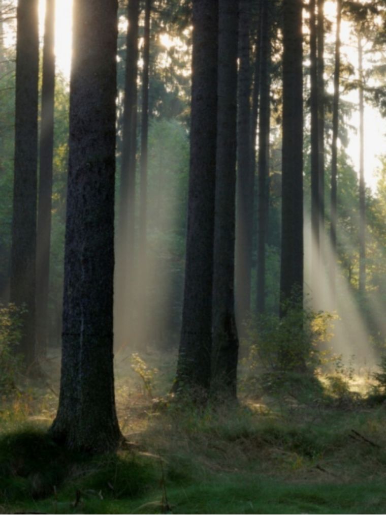 木门怎么选择最好,木门怎么选便宜