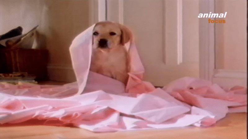 厕纸架创意,厕纸架创意搞笑