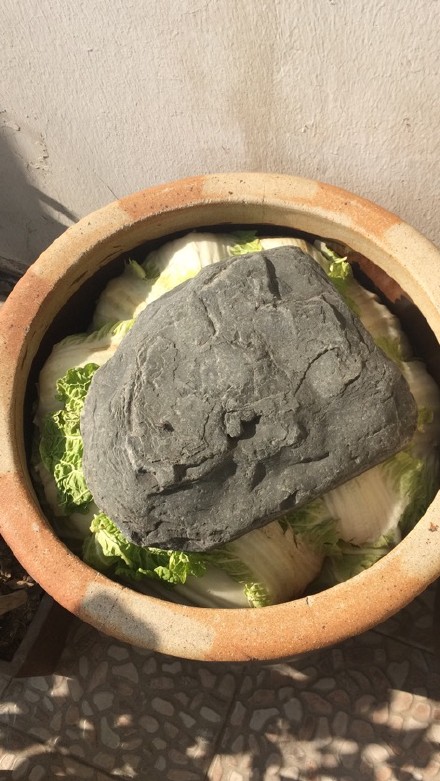 东北酸菜哪里的最正宗,正宗东北酸菜怎么腌制最好吃