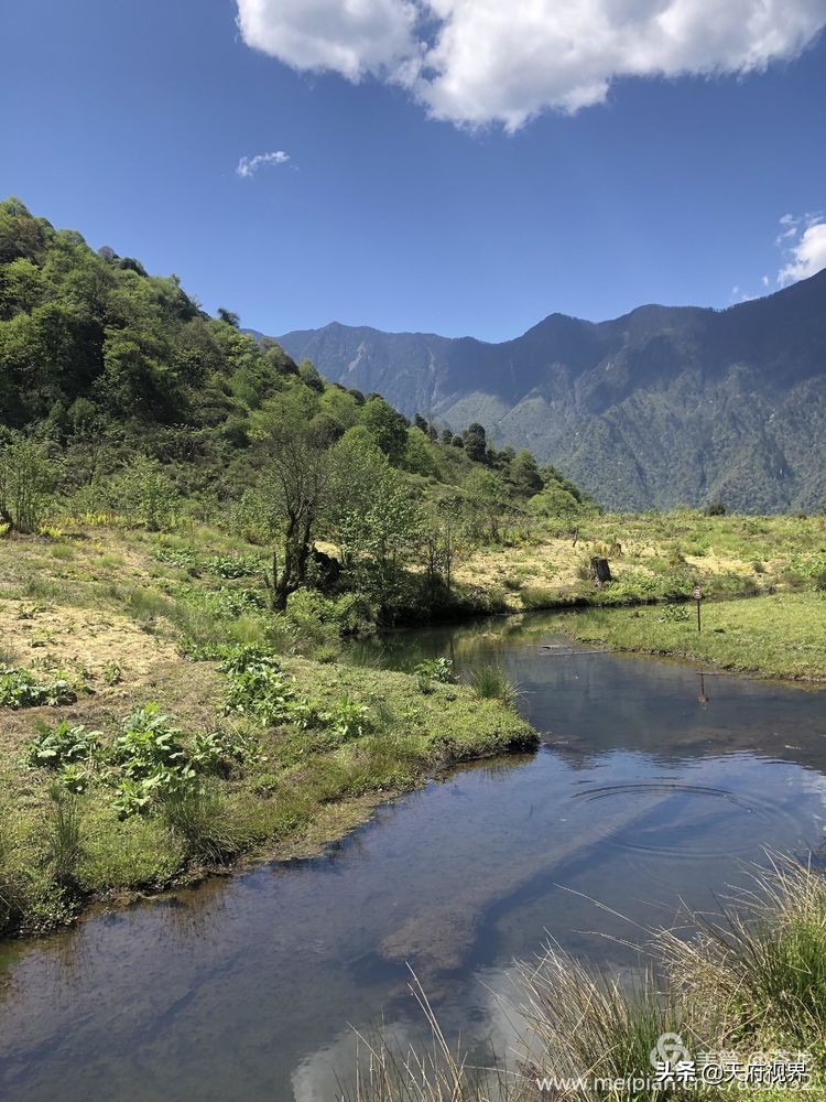 中国百慕大黑竹沟了解一下,穿越黑竹沟揭秘中国百慕大