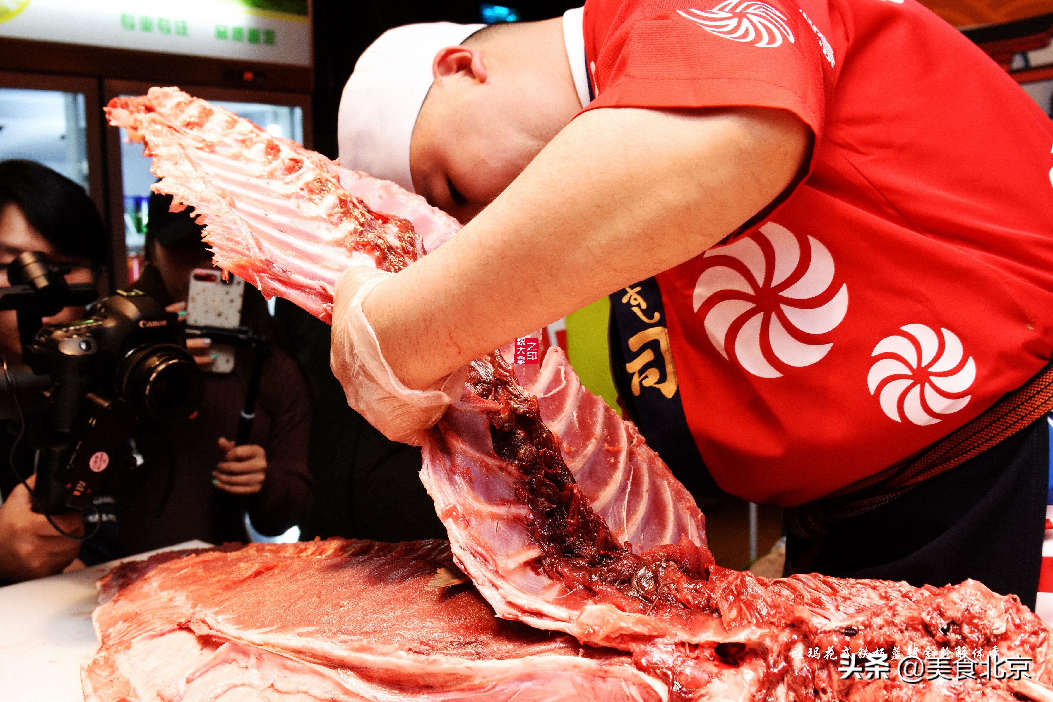 蓝鳍金枪鱼开鱼秀,深海捕蓝鳍金枪鱼