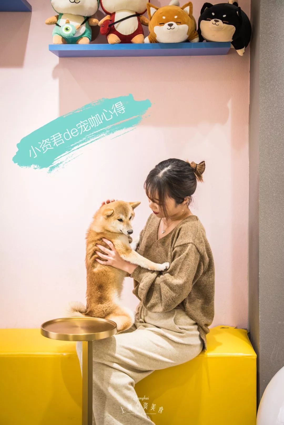 2019宠物排名,2022宠物排行榜