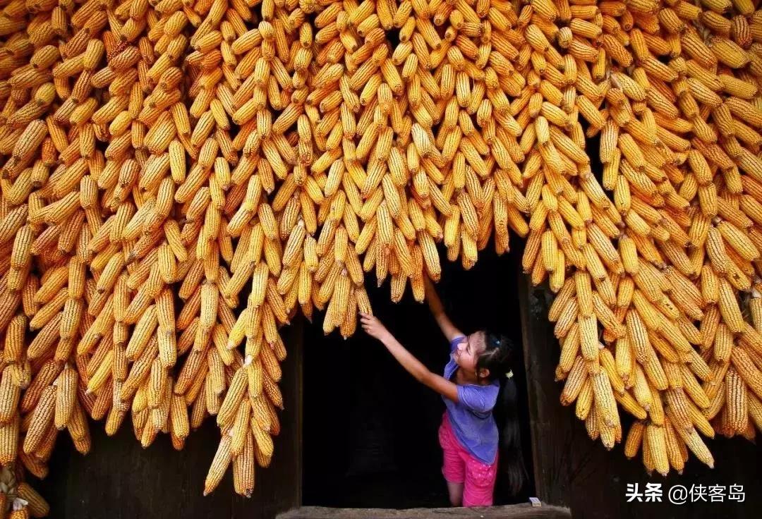 侠客岛:乡愁里的中国