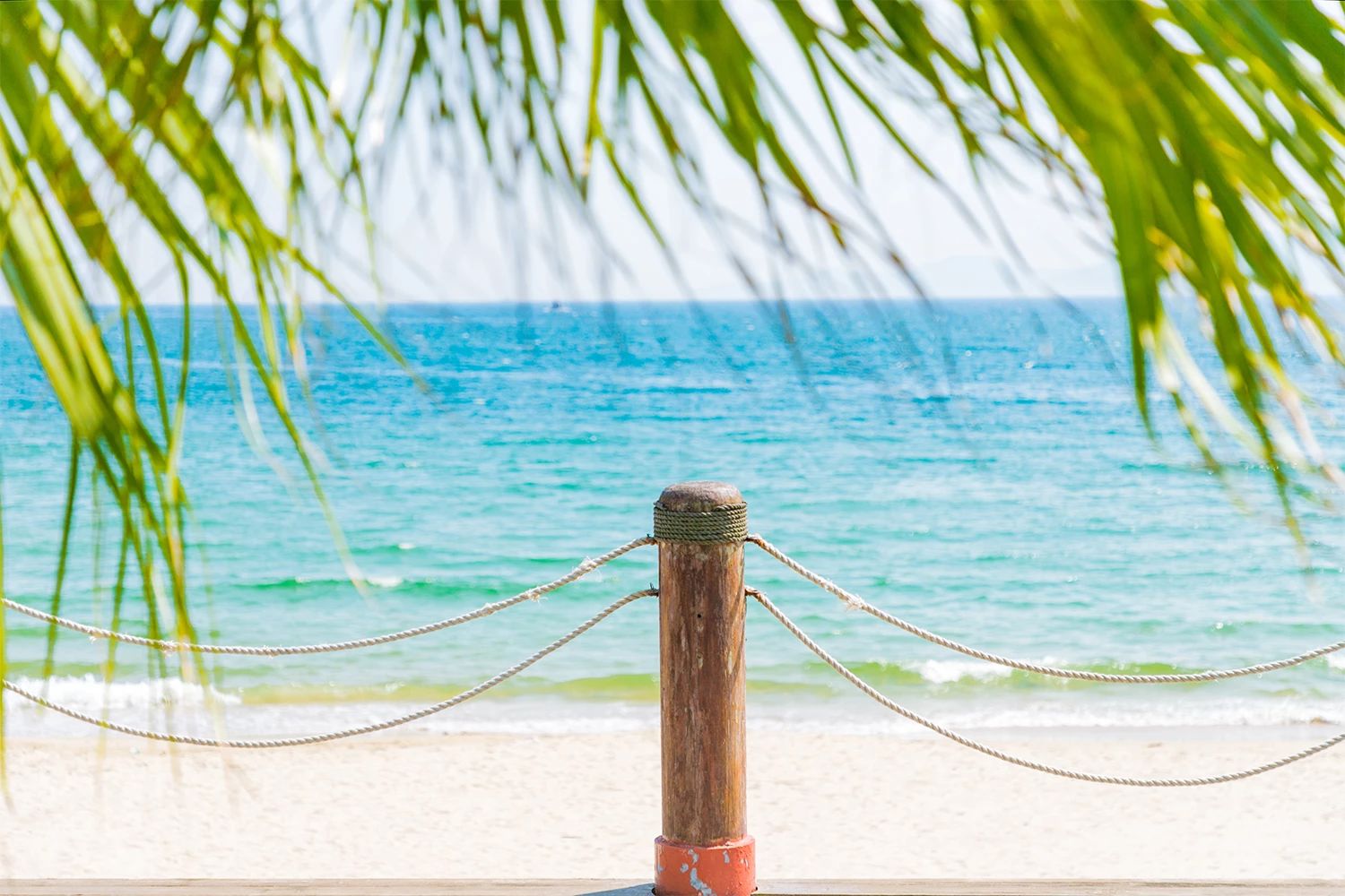 深圳游玩最佳地点排行榜前十名,深圳适合小孩游玩最佳地方推荐