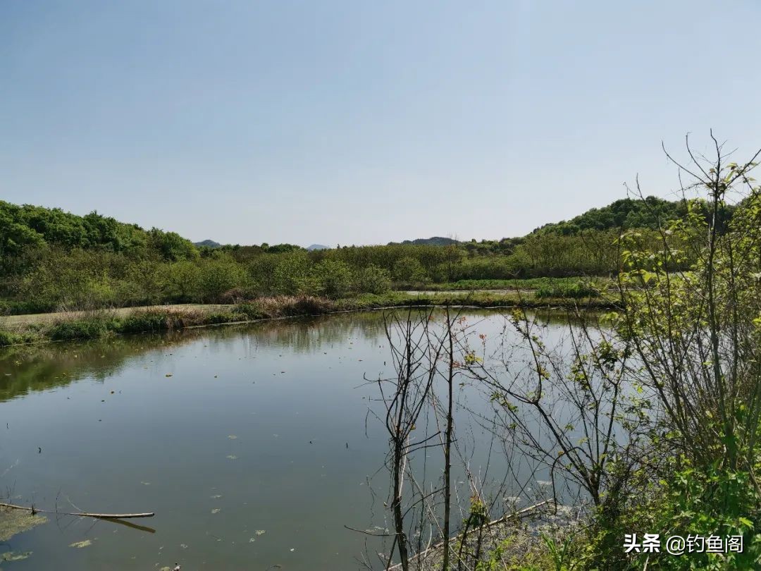 废弃鱼塘鱼怎么钓,废弃鱼塘鱼特别少怎么钓