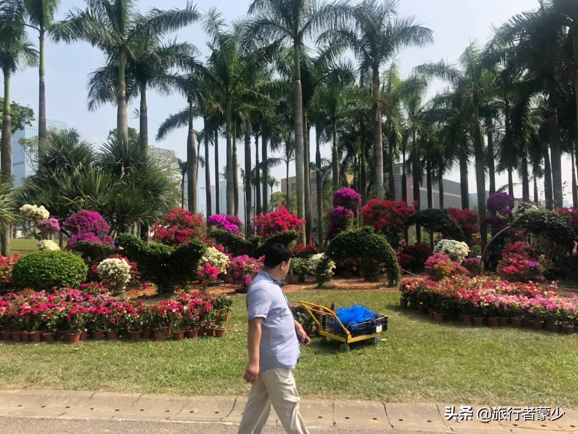 莲花山情侣约会5大圣地,深圳莲花山约会