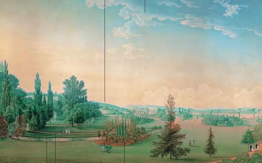 红衣主教来历,红衣主教月季分布区域