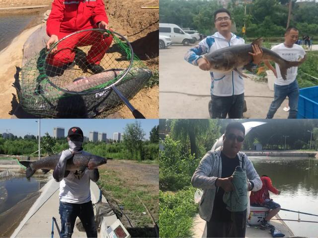 钓鱼顶杆为什么会断竿,钓鱼时鱼竿断裂视频