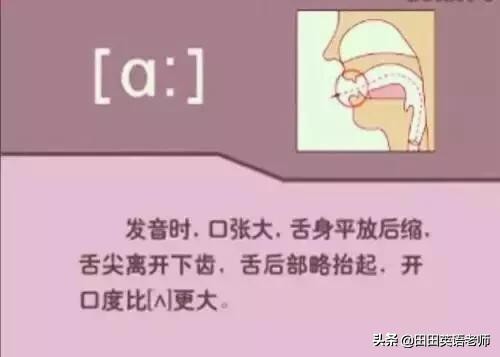 基础英语48个国际音标详解，赶紧来学习！