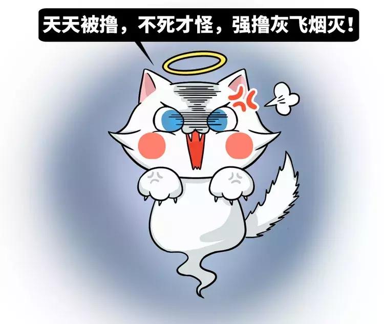 在古代，做猫奴是一种什么体验