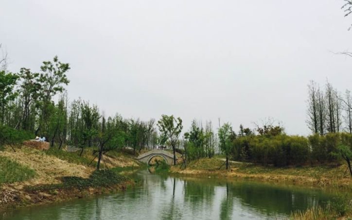 南京免费的公园,太全了