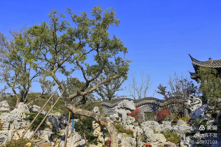 秋之旅免费完整版,秋之旅风景图片