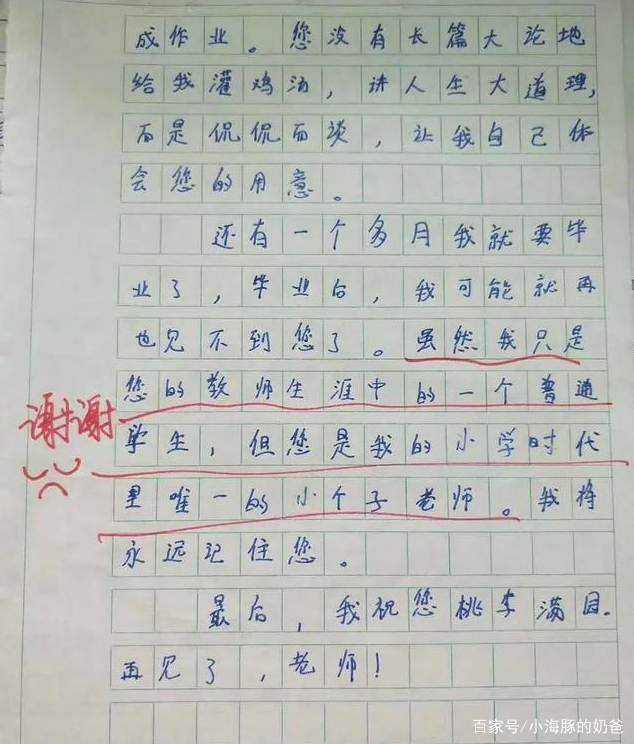 小学生作文翻车,那些小学生为了凑字数的搞笑作文