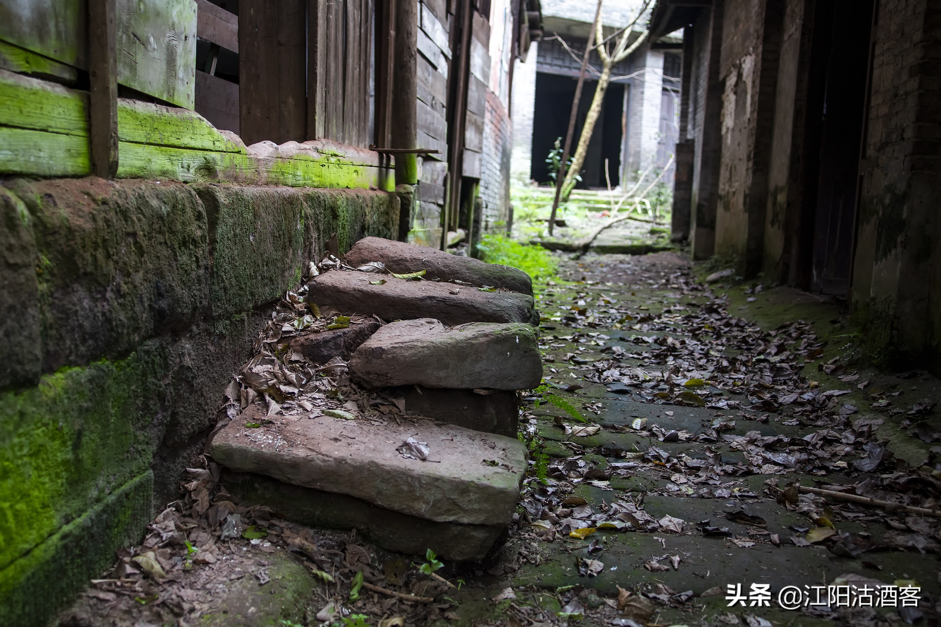 泸州沙湾，一条通往茶马古道的长江水上码头，如今落寞无人问