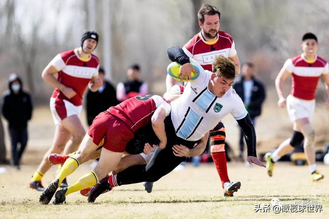 英式橄榄球今日赛程,2023年英式橄榄球中日韩青年比赛