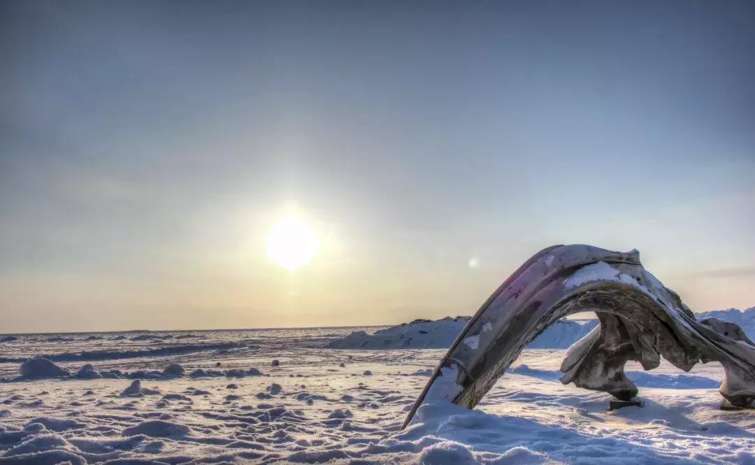 一万块钱到俄罗斯旅行能玩几天,一万元去美国能玩多久