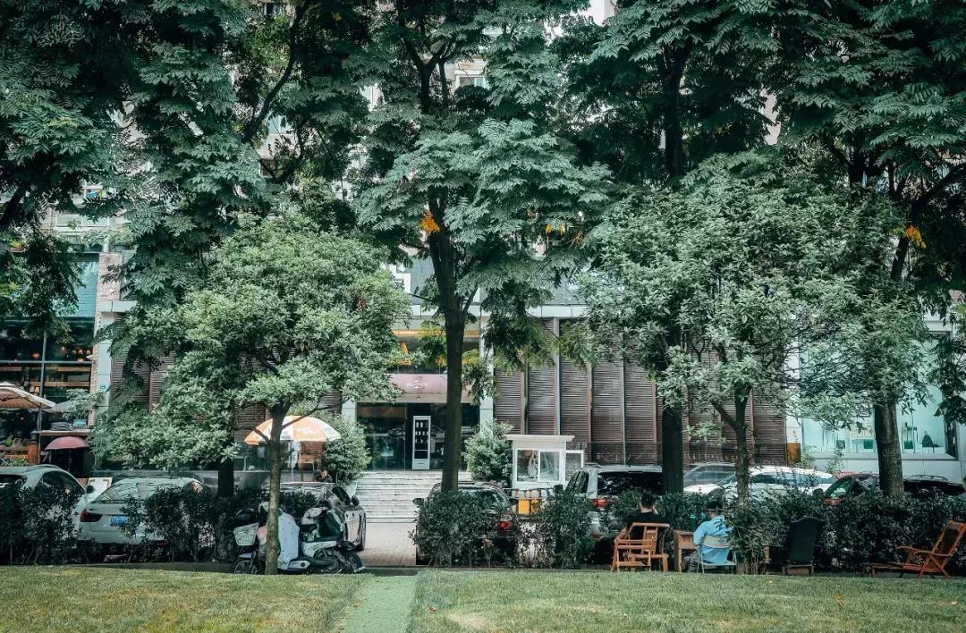 荷花池vs春熙路,成都荷花池攻略技巧