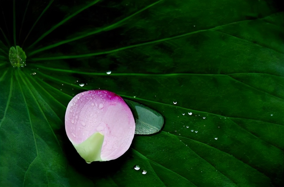 心直口快为什么没人缘,心直口快原来是一种愚蠢