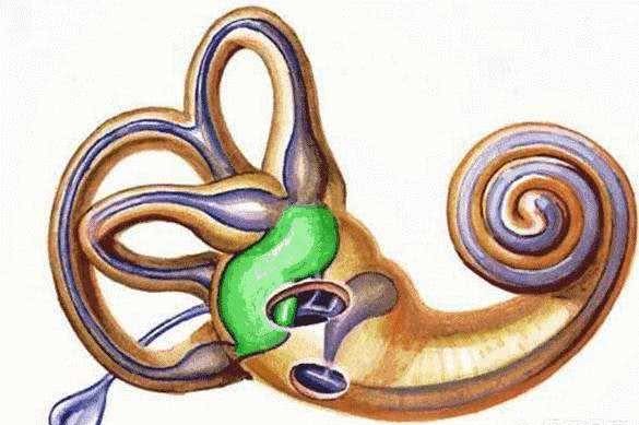 录音感觉自己声音难听,为什么录音声音很难听