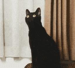 12岁孩子发育期需要注意哪些问题,12岁孩子高度近视矫正要多少钱