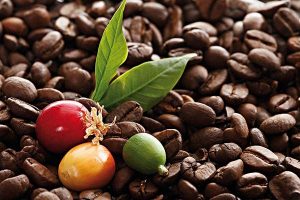 家用咖啡机小白,小白如何选咖啡机咖啡豆