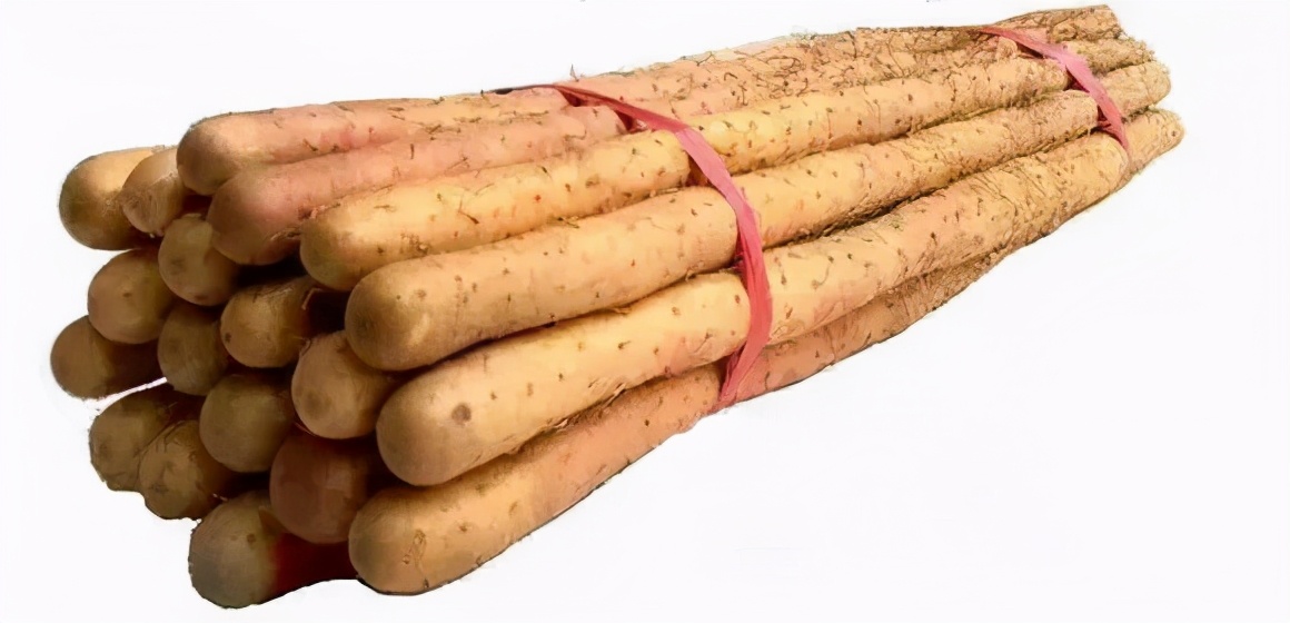 吃了那么多年山药，原来只是在吃菜，不懂山药真的买不到好山药