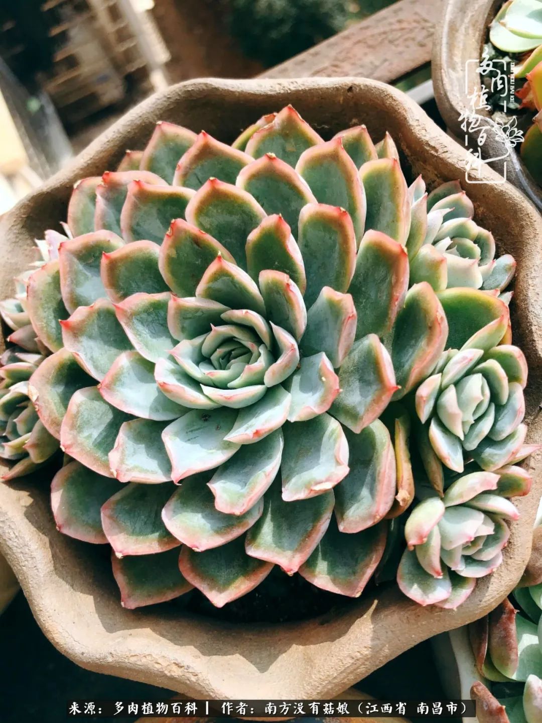 既见云胡不喜,既见君子云胡不喜毛笔楷书