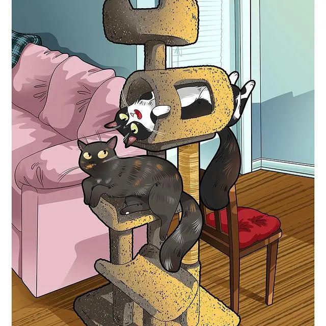 沙雕猫片，笑到床塌！自从做了卑微的铲屎官，比一个人时刺激多了