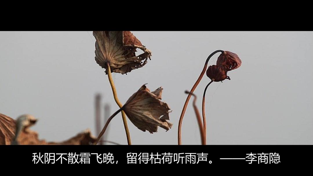 开学第一课地理,免费观看高中地理全套课程