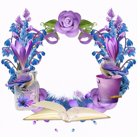 花花边框图片大全简单又漂亮,花花边框视频素材