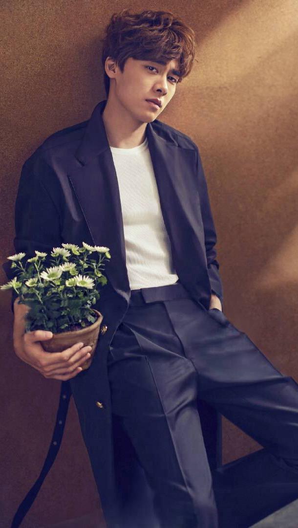 他们的成功不是偶然！宝剑锋从磨砺出，梅花香自苦寒来！