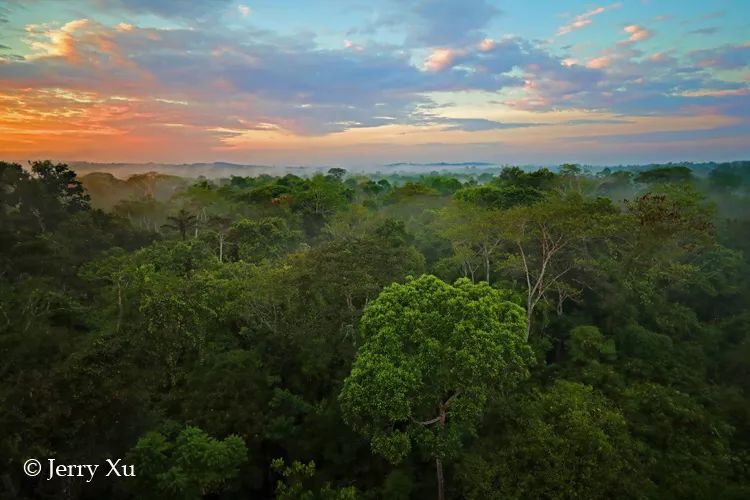 汇率起起伏伏，自然旅行跟着这张表格走，最划算