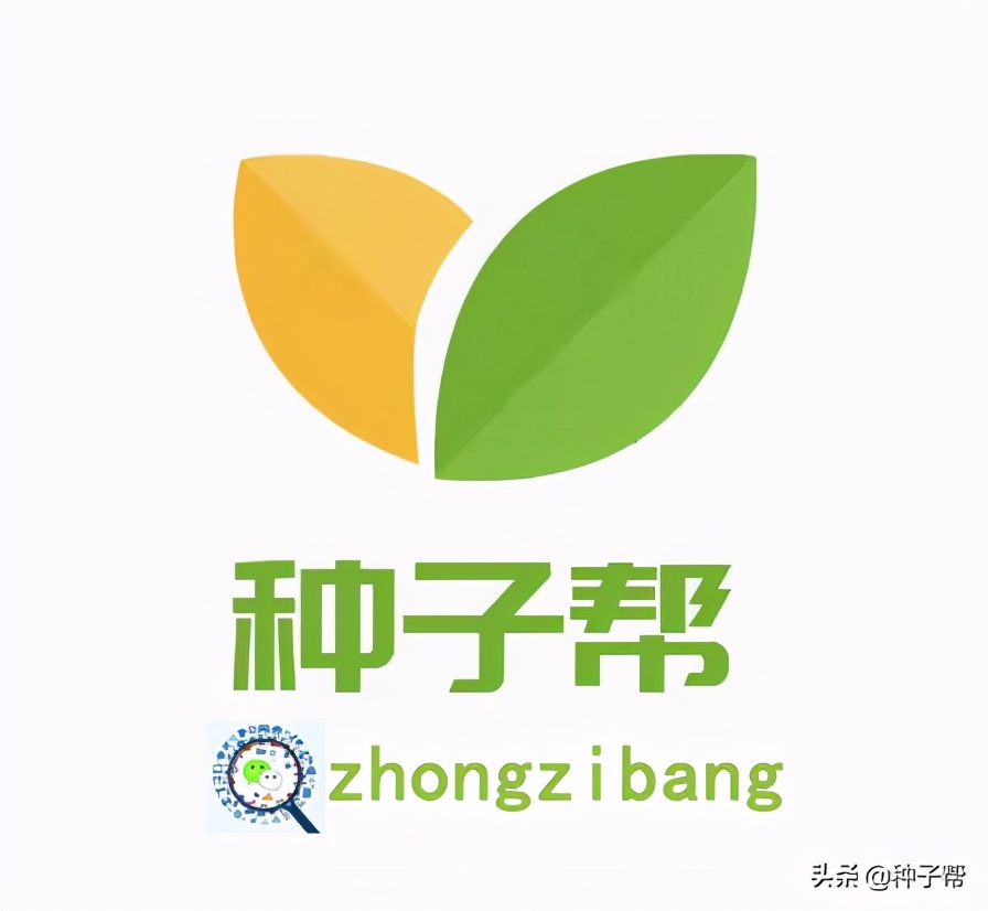 高产牧草养殖技术视频,牧草茎节栽培技术