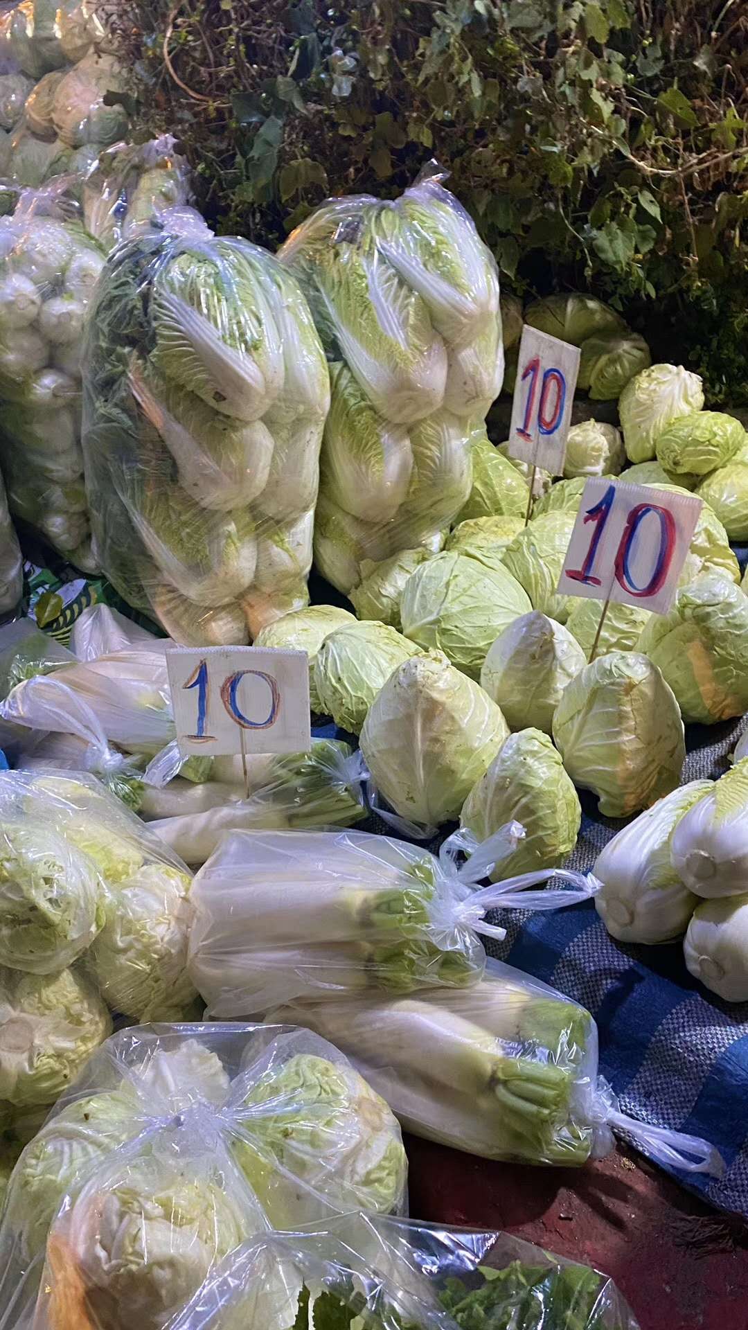 在泰国清迈买房流程,泰国清迈养老房产