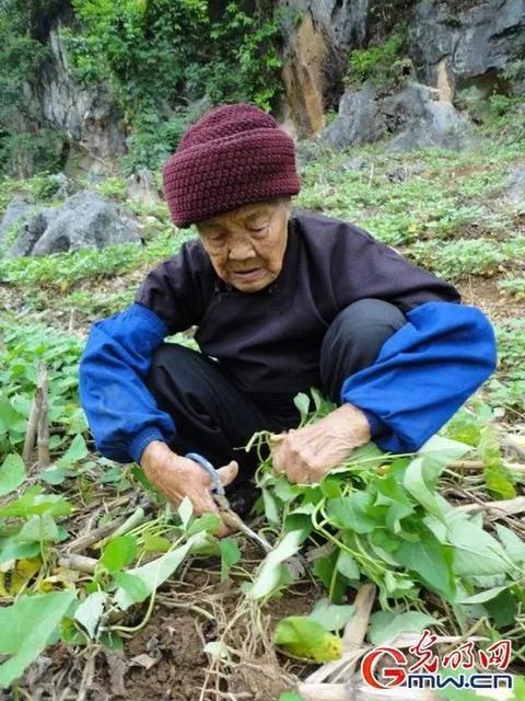 搭伙过日子能长寿吗,长寿的秘诀就是生活规律