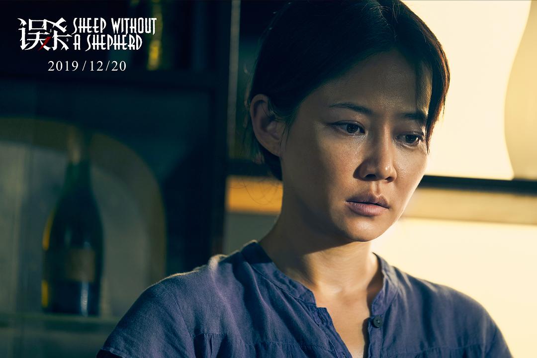 误杀讲的是真事吗,误杀真实案件结局