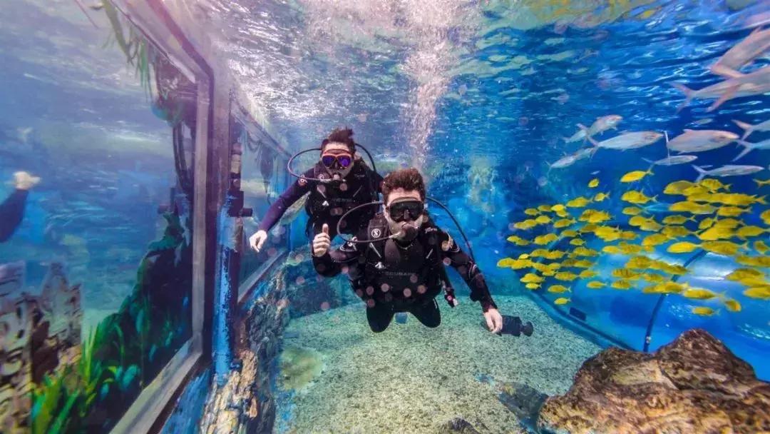 150000m²！天津欢乐谷的玛雅海滩水公园，真是太好玩了