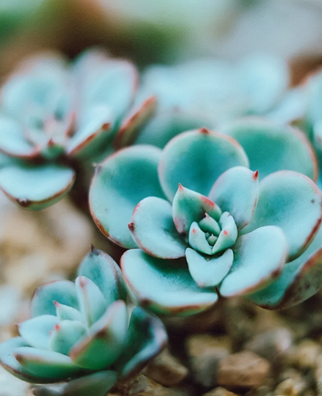 最经典的自嘲诗句,句句戳心的自嘲诗句