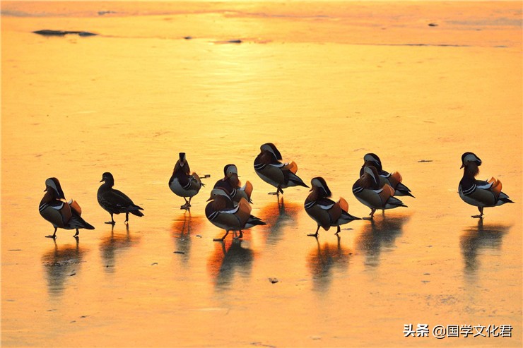曾国藩强大的自律能力,曾国藩怎么立志到成功的