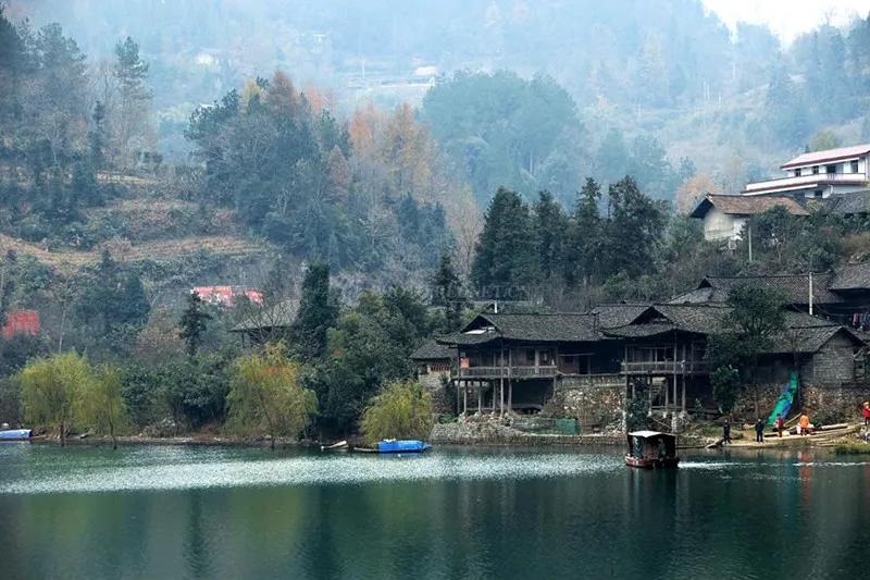 桑植誉满三湘,桑植土特产有些什么品种