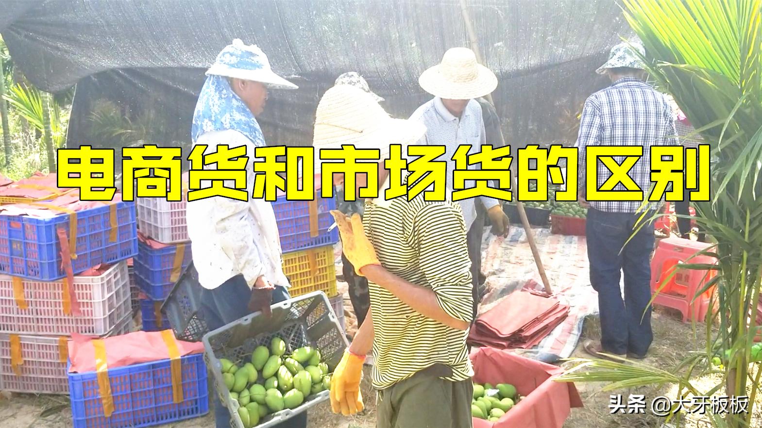 做水果电商在哪里拿货比较好,做水果电商比较好的牌子