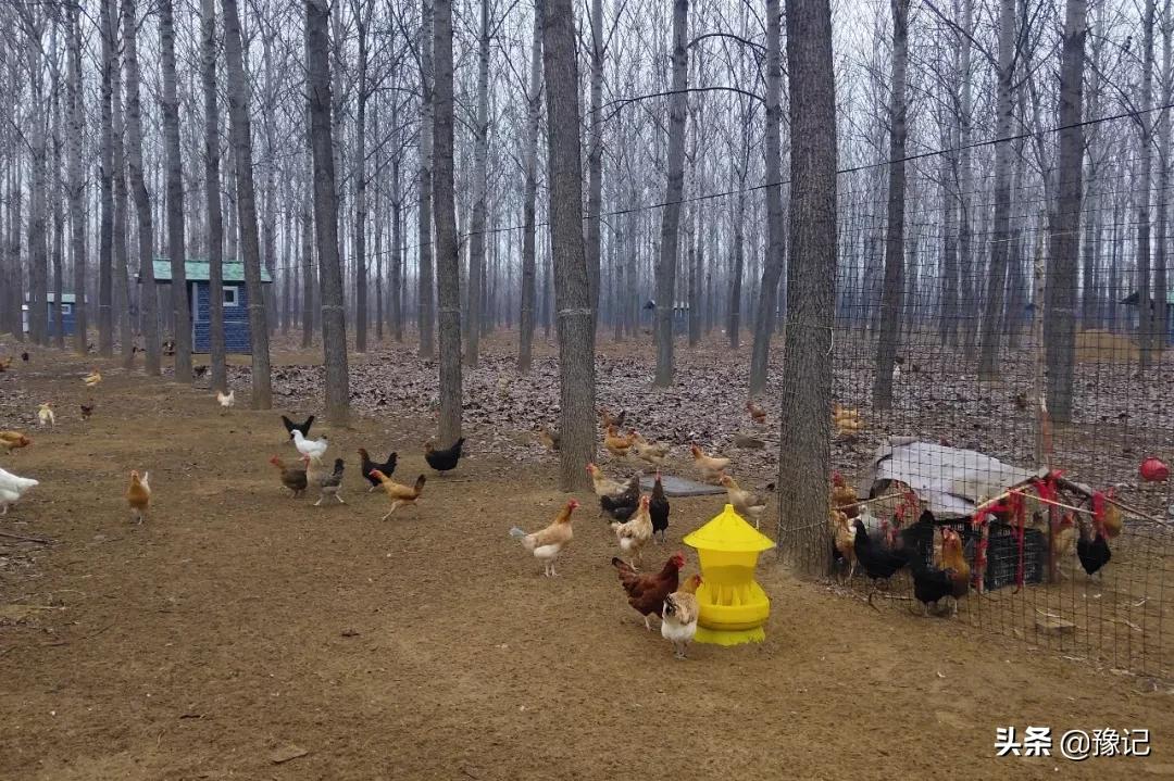 民权不能办房产证的小区,民权不让骑三轮车四轮车了吗