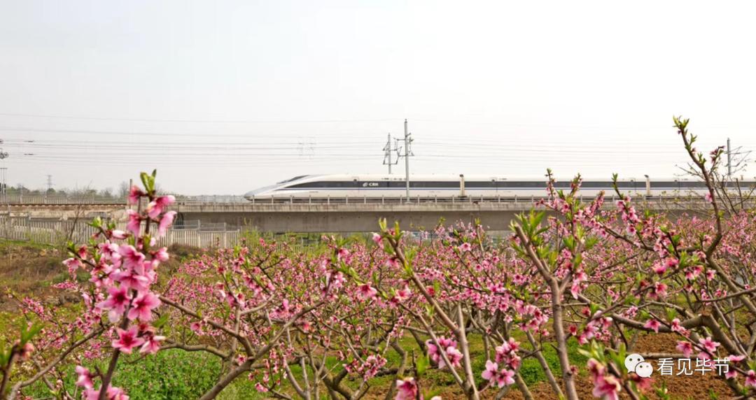 毕节到贵阳高铁最新消息,毕节到龙洞堡机场高铁明天