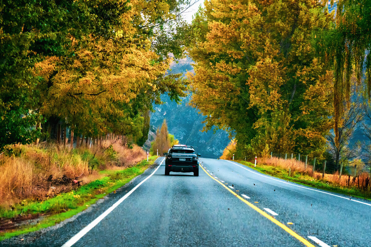 移民16年后的感受,移民16年感受