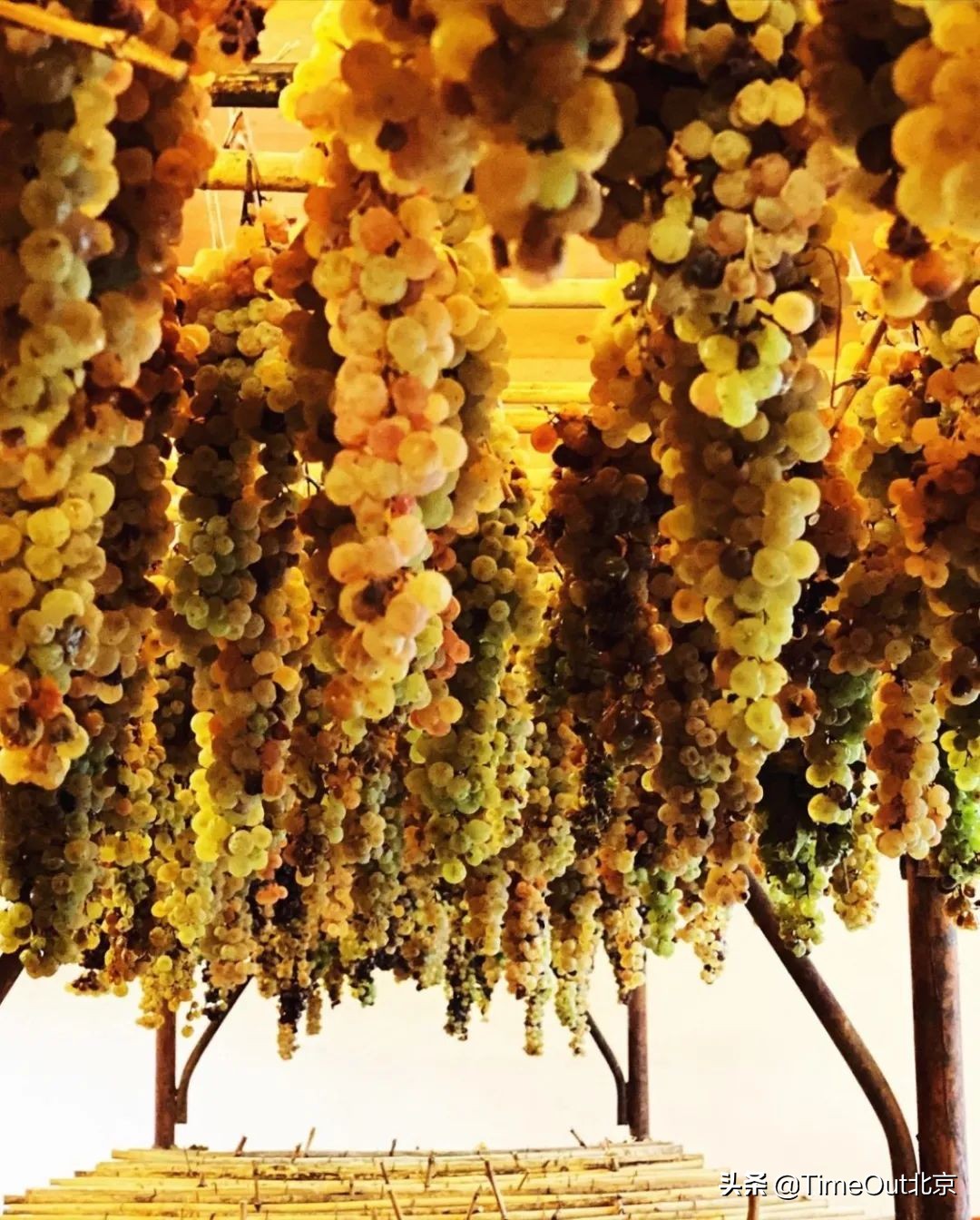 一杯充满正能量的酒,一杯有味道的酒