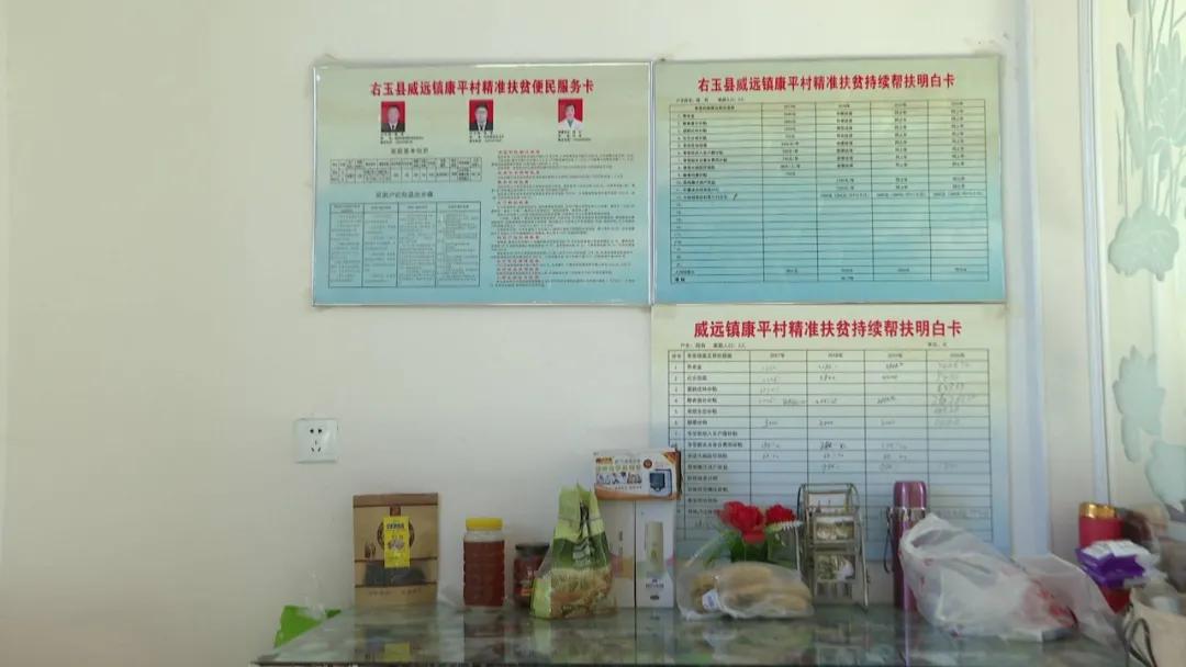 奋斗百年路启航新征程丨康平村：宜居宜业日子“甜”